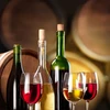 Vinárska súprava 15 L so skleneným balónom - 14 ['súprava na víno', ' vinárske príslušenstvo', ' nápad na darček', ' ako vyrobiť víno', ' balón na víno', ' vínne kvasnice', ' na 15 l vína', ' do vína', ' výživa pre víno', ' vinomer', ' pyrosiričitan draselný']