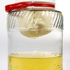 Vrece na filtráciu likérov - 3 ['vrece na filtráciu muštu', ' vrece na filtráciu likérov', ' vrece na filtráciu', ' filtrovanie vína', ' ako filtrovať víno', ' filtrovanie domáceho vína']
