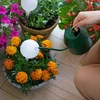 Zavlažovacia guľa pre rastliny, biela matná s keramickou nožičkou, 400ml - 8 ['zavlažovacie gule', ' dávkovač na zavlažovanie kvetov', ' na polievanie kvetov', ' zvlhčovače pre kvety', ' zavlažovanie kvetov', ' zavlažovanie rastlín', ' zavlažovače do kvetináčov', ' pre izbové kvety', ' zavlažovací systém', ' zavlažovacia guľa', ' dávkovač vody do kvetináčov', ' gule pre rastliny', ' dávkovač pre rastliny', ' polievanie rastlín', ' biele zavlažovacie gule', ' zavlažovacie gule s keramickou nožičkou', ' keramická nožička', ' farebné zavlažovacie gule', ' zavlažovacie gule s hlinenou nožičkou', ' zavlažovacie gule plnené zhora', ' dávkovače plnené zhora', '']