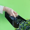 Zberač na drobné ovocie, kovový čierny - 8 ['zberač na drobné ovocie', ' stroj na zberanie drobného ovocia', ' hrebeň na ovocie', ' stroj na zberanie z kríkov', ' zberač na čučoriedky a borievky', ' zberač na ríbezle', ' zberač na aróniu', ' zberanie malých plodov', ' zberanie čučoriedok a borievok', ' nástroje na prácu v záhrade', ' záhradné nástroje', ' praktické nástroje na zber ovocia', ' zber drobného ovocia', ' záhradné príslušenstvo']
