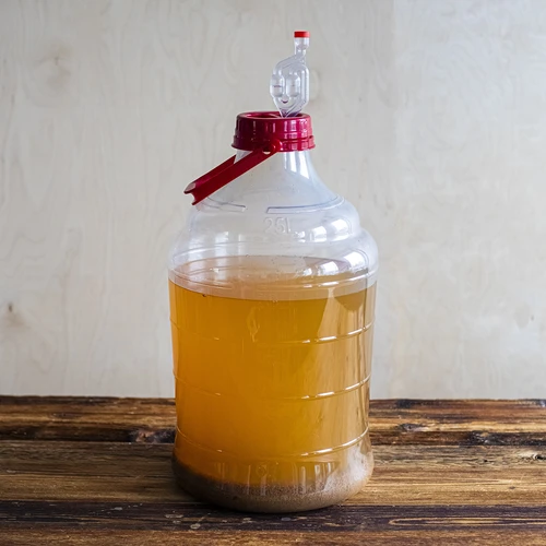 Balón na víno ľahký, nerozbitný, s držadlom, 25 L - 13 ['fermentačná nádoba', ' fermentačná nádoba', ' v čom fermentovať', ' balón na víno', ' balón na pivo', ' na fermentáciu', ' balón so širokým otvorom', ' PET balón', ' plastový balón', ' nerozbitný balón', ' balón na víno', ' vinárska novinka', ' balón 25 L']