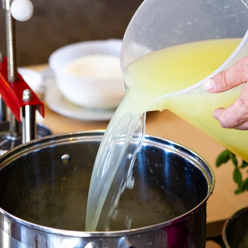 Chlorid vápenatý na syr, 10 g - 10