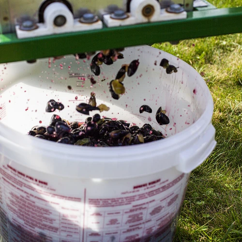 Fermentačná nádoba 30 L s vekom a kohútikom - 17 ['nádoba na fermentáciu', ' na víno', ' na pivo', ' na kvas', ' fermentačné vedro', ' vedro s mierkou', ' vedro so stupnicou', ' vedro s kohútikom']