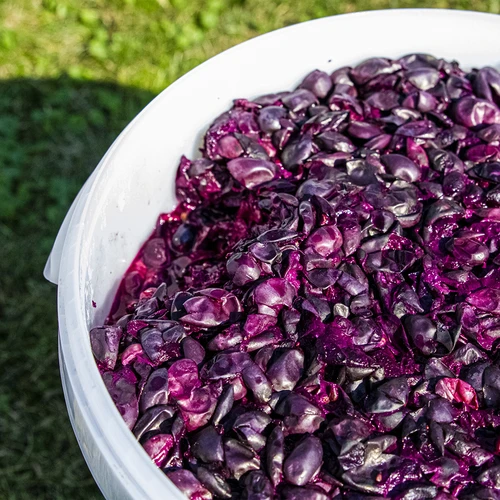 Fermentačná nádoba 30 L s vekom a kohútikom - typ A - 16