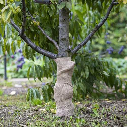 Jutová páska 10 cm/5 m - 5 ['jutová páska', ' jutová páska', ' páska na paradajky', ' páska na uhorky', ' prírodná páska', ' ekopáska', ' páska na viazanie', ' páska na ručné práce', ' jutová stuha']