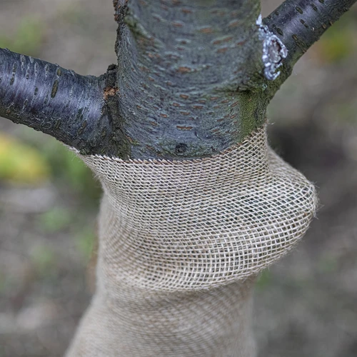 Jutová páska 10 cm/5 m - 7 ['jutová páska', ' jutová páska', ' páska na paradajky', ' páska na uhorky', ' prírodná páska', ' ekopáska', ' páska na viazanie', ' páska na ručné práce', ' jutová stuha']