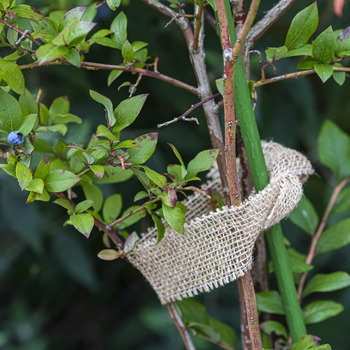 Jutová páska 5 cm / 8 m - 6 ['jutová páska', ' jutová páska', ' páska na paradajky', ' páska na uhorky', ' prírodná páska', ' ekopáska', ' páska na viazanie', ' páska na ručné práce', ' jutová stuha']