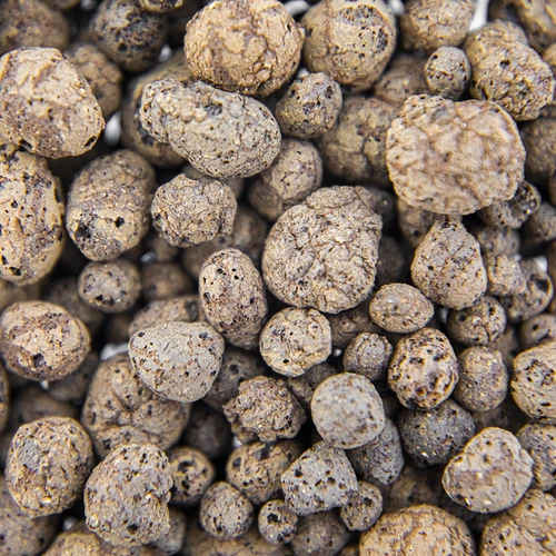 Keramzit pre izbové rastliny, záhradníctvo a lesy v skle, 4-10 mm, 1L - 5 ['keramzit', ' keramzit záhradnícky', ' cena keramzitu', ' drenáž rastlín', ' drenáž pod rastliny v záhrade', ' keramzit pre rastliny', ' keramzit do pôdy', ' keramzit do lesov v skle', ' keramzit do lesov v pohári', ' zavlažovanie rastlín', ' ako zlepšiť pestovanie rastlín', ' do domu a záhrady', ' starostlivosť o rastliny', ' ochrana rastlín', ' ako sa starať o rastliny', ' ako sa starať o kvety v záhrade', ' pestovanie kvetov v kvetináčoch', ' prostriedky na pestovanie rastlín', ' substráty pre rastliny', ' rastliny v dome', ' rastliny v záhrade', ' rady záhradníkov', ' kvety v dome', ' lesy v pohároch', ' rastliny v skle', ' rastlinné kompozície v skle']
