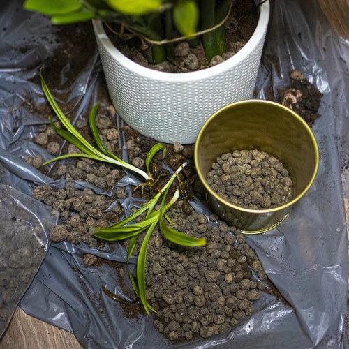 Keramzit pre izbové rastliny, záhradníctvo a lesy v skle, 4-10 mm, 2L - 8 ['keramzit', ' keramzit záhradnícky', ' cena keramzitu', ' drenáž rastlín', ' drenáž pod rastliny v záhrade', ' keramzit pre rastliny', ' keramzit do pôdy', ' keramzit do lesov v skle', ' keramzit do lesov v pohári', ' zavlažovanie rastlín', ' ako zlepšiť pestovanie rastlín', ' do domu a záhrady', ' starostlivosť o rastliny', ' ochrana rastlín', ' ako sa starať o rastliny', ' ako sa starať o kvety v záhrade', ' pestovanie kvetov v kvetináčoch', ' prostriedky na pestovanie rastlín', ' substráty pre rastliny', ' rastliny v dome', ' rastliny v záhrade', ' rady záhradníkov', ' kvety v dome', ' lesy v pohároch', ' rastliny v skle', ' rastlinné kompozície v skle']