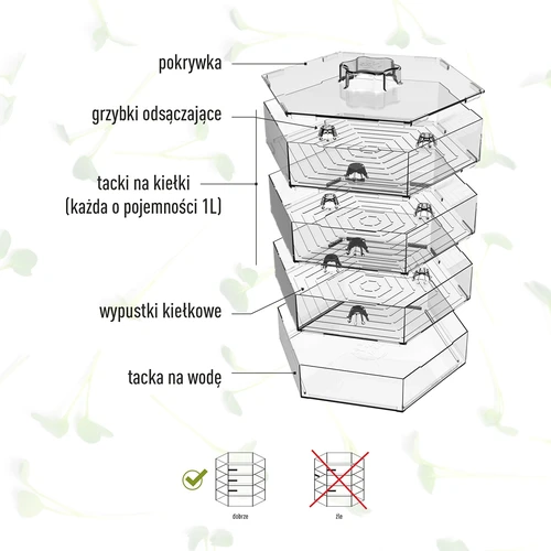 Klíčkovnica viacúrovňová Niezłe Ziółko + 10 balení semien - 13 ['zdravé klíčky', ' domáca pestovanie klíčkov', ' klíčky produkt vegánsky', ' pestovanie klíčkov doma', ' klíčkovnice', ' klíčkovnica do domu', ' pestovanie klíčkov', ' semená na klíčenie', ' súprava klíčkovnica so semenami', ' klíčkovnica so semenami', ' klíčkovnica so súpravou semien', ' klíčky', ' klíčenie', ' klíčkovnica viacúrovňová', ' klíčkovnica']