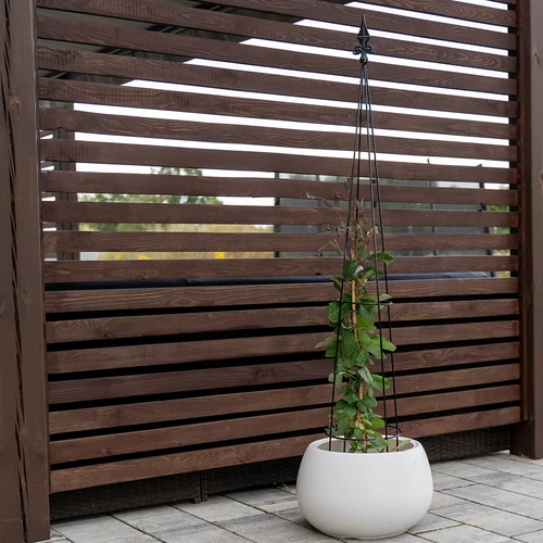 Kovová pergola - Pyramída, 135 cm - 5 ['podpora pre rastliny', ' pre popínavé rastliny', ' pre ruže', ' pre fazuľu', ' pre pestovanie rastlín', ' pre rododendrony']