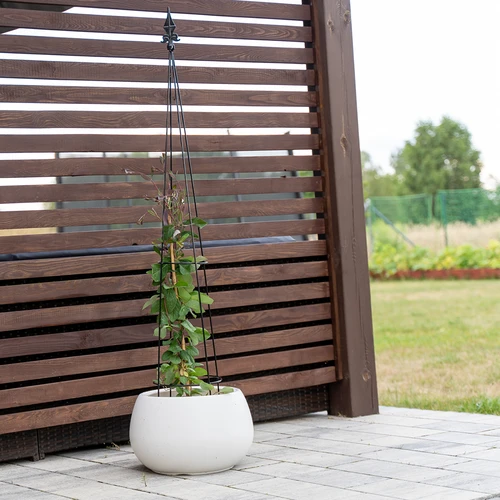 Kovová pergola - Pyramída, 135 cm - 4 ['podpora pre rastliny', ' pre popínavé rastliny', ' pre ruže', ' pre fazuľu', ' pre pestovanie rastlín', ' pre rododendrony']