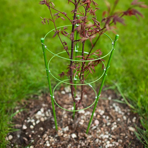 Kruhová podpora pre rastliny 3 kruhy 1,2m - 3 ['podpora pre rastliny', ' podpora kruhová pre kríky', ' záhradná podpora', ' podpora na ruže', ' záhradná pergola', ' objímka pre rastliny', ' podperka pre rastliny', ' podpora kvetinová', ' podpora pre izbové rastliny', ' podpora pre hortenzie', ' podpora pre čučoriedky', ' podpora pre popínavé rastliny', ' zelená podpora', ' tmavozelená podpora pre rastliny', ' oceľová podpora pre rastliny s kruhmi']