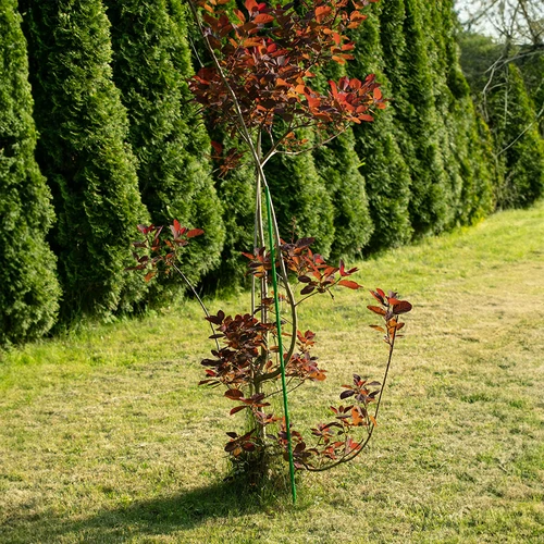 Oceľová tyčka s PE povlakom 1,75 m x 11 mm - 5 ['záhradná tyčka', ' tyčka na rastliny', ' podpera na rastliny', ' záhradná podpera', ' kovové záhradné podpery', ' podpera na popínavé rastliny', ' podpery na popínavé kvety', ' kovové podpery na kvety', ' kovové tyčky s povlakom', ' tyčka na rastliny s povlakom']
