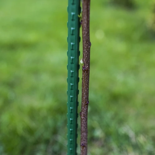 Oceľová tyčka s PE povlakom 1m x 8mm - 3 ['záhradná tyčka', ' tyčka na rastliny', ' podpora na rastliny', ' záhradná podpora', ' kovové záhradné podpory', ' podpora na popínavé rastliny', ' podpory na popínavé kvety', ' kovové podpory na kvety', ' kovové tyčky s povlakom', ' tyčka na rastliny s povlakom']