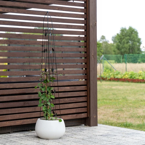 Ozdobná pergola - Pyramída, 150 cm - 5 ['podpora pre rastliny', ' pre popínavé rastliny', ' pre pestovanie rastlín', ' pre ruže', ' pre paradajky', ' pre kríky']