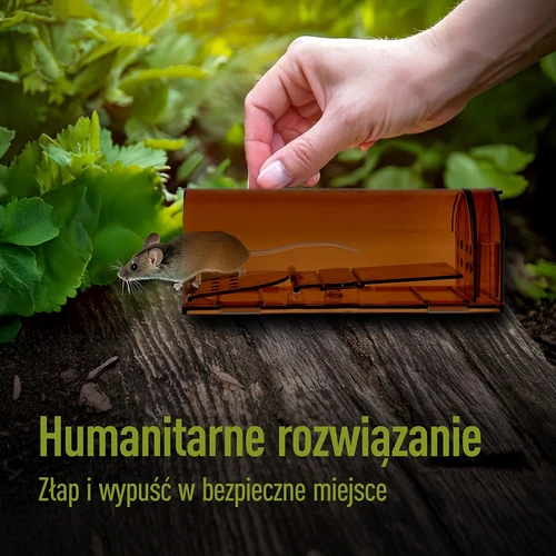 Pasca na myši – živolapka, transparentná, 2 ks. - 7