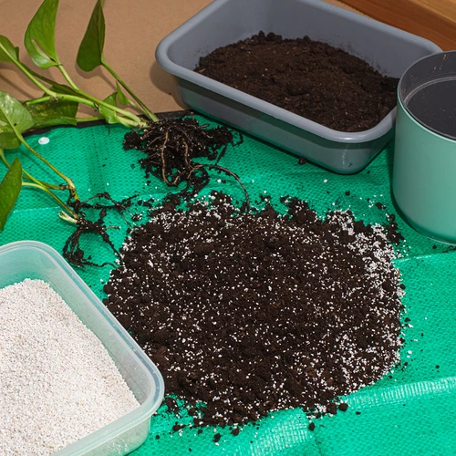 Perlit pre izbové rastliny a záhradníctvo, 2L - 7 ['perlit', ' záhradnícky perlit', ' perlit pre rastliny', ' perlit do pôdy', ' cena perlitu', ' drenáž rastlín', ' drenáž pod rastliny v záhrade', ' zavlažovanie rastlín', ' ako zlepšiť pestovanie rastlín', ' do domu a záhrady', ' starostlivosť o rastliny', ' ochrana rastlín', ' ako sa starať o rastliny', ' ako sa starať o kvety v záhrade', ' pestovanie izbových kvetov', ' prostriedky na pestovanie rastlín', ' výživa rastlín', ' klíčenie rastlín', ' substráty pre rastliny', ' rastliny v dome', ' rastliny v záhrade', ' rady záhradníkov', ' kvety v dome']