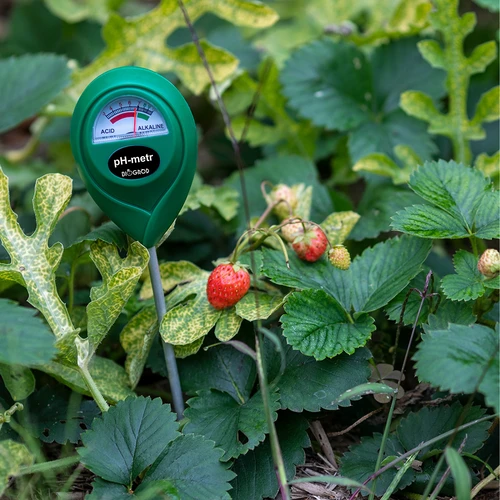 pH Meter Pôdny - 11 ['ph meter do pôdy', ' analýza pôdy', ' merač ph pôdy', ' ph pôdy', ' ako skontrolovať ph pôdy', ' ako preskúmať ph pôdy', ' skúmanie ph pôdy', ' meranie ph pôdy', ' reakcia pôdy', ' reakcia ph pôdy', ' kyslosť pôdy']
