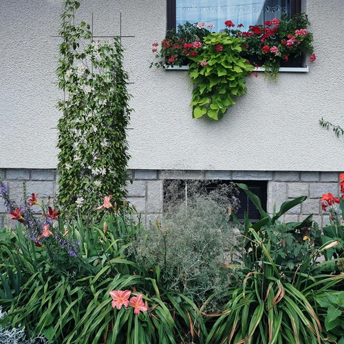 Podpera pre rastliny - mriežka (150cm x 45cm) 3 kusy - 4 