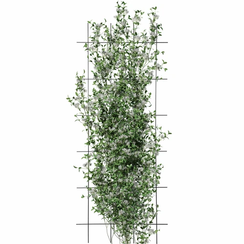 Podpora pre rastliny – záhradná mriežka 150 x 60cm - 3 ['podpora pre rastliny', ' podpora pre kríky mriežka', ' záhradná podpora', ' záhradná pergola', ' mriežka pre rastliny', ' podpera pre rastliny', ' kvetinová podpora', ' podpora pre záhradné rastliny', ' podpora pre brečtan', ' oceľová podpora', ' podpora s uchytením na stenu', ' podpora pre popínavé rastliny', ' podpora pre ružové kríky', ' čierna podpora', ' akú podporu pre rastliny vybrať', ' udržiavaná záhrada', ' mriežka pre popínavé rastliny', ' podpora pre ruže', ' podpora pre brečtan', ' pre ružové kríky', ' kovové podpory pre kvety', ' záhradné príslušenstvo', ' ako sa starať o rastliny', ' odporúčané podpory pre rastliny', ' podpora v tvare mriežky', ' podpora priskrutkovaná k múru']