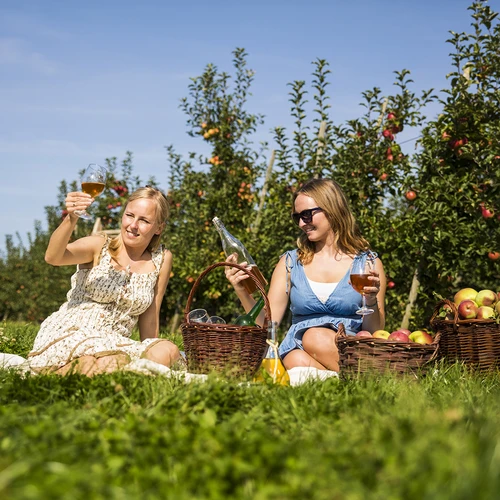 Súprava na cider 20 L - 16 ['darček', ' súprava na cider', ' kompletná súprava na cider', ' súprava s kvasnou rúrkou', ' súprava s fermentačnou nádobou', ' výroba ciderov', ' súprava na 20 L cideru']