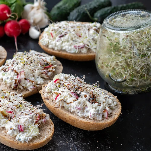 Súprava semien na klíčky - 10 balení - 4 ['zdravé klíčky', ' domáca pestovanie klíčkov', ' klíčky produkt vegánsky', ' pestovanie klíčkov doma', ' klíčenie', ' pestovanie klíčkov', ' semená na klíčenie', ' semená do klíčidla', ' súprava semien na klíčenie', ' semená na klíčky', ' súprava semien', ' klíčky', ' domáce klíčky', ' zdravé prísady']