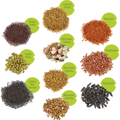 Súprava semien na klíčky - 10 balení - 3 ['zdravé klíčky', ' domáca pestovanie klíčkov', ' klíčky produkt vegánsky', ' pestovanie klíčkov doma', ' klíčenie', ' pestovanie klíčkov', ' semená na klíčenie', ' semená do klíčidla', ' súprava semien na klíčenie', ' semená na klíčky', ' súprava semien', ' klíčky', ' domáce klíčky', ' zdravé prísady']