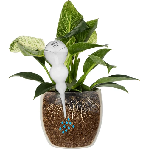 Trojitá zavlažovacia guľa (trojkomorová), priehľadná bezfarebná, 600 ml - 3 ['zavlažovacie gule', ' dávkovač na zavlažovanie kvetov', ' na polievanie kvetov', ' zvlhčovače pre kvety', ' zavlažovanie kvetov', ' zavlažovanie rastlín', ' zavlažovače do kvetináčov', ' na polievanie kvetov', ' pre izbové kvety', ' zavlažovací systém', ' zavlažovacia guľa', ' dávkovač vody do kvetináčov', ' gule pre rastliny', ' dávkovač pre rastliny', ' polievanie rastlín', ' zavlažovacia guľa', ' trojité zavlažovacie gule', ' dekoratívne zavlažovače pre rastliny', ' praktické zavlažovacie gule', ' objemné zavlažovacie gule', ' transparentné priehľadné zavlažovacie gule', ' bezfarebná zavlažovacia guľa']