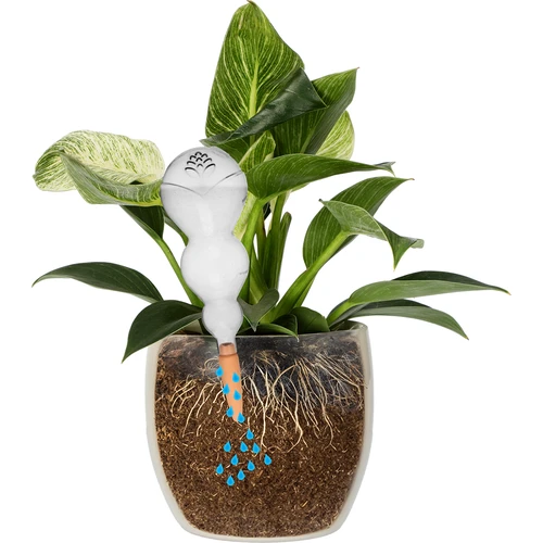 Trojitá zavlažovacia guľa (trojkomorová), priehľadná bezfarebná, s keramickou nožičkou, 600 ml - 3 ['zavlažovacie gule', ' dávkovač na zavlažovanie kvetov', ' na polievanie kvetov', ' zvlhčovače pre kvety', ' zavlažovanie kvetov', ' zavlažovanie rastlín', ' zavlažovače do kvetináčov', ' na polievanie kvetov', ' pre izbové kvety', ' zavlažovacie gule s keramickou nožičkou', ' zavlažovač s keramickou nožičkou', ' zavlažovacia guľa', ' dávkovač vody do kvetináčov', ' gule pre rastliny', ' dávkovač pre rastliny', ' polievanie rastlín', ' zavlažovacia guľa', ' trojité zavlažovacie gule', ' dekoratívne gule pre rastliny', ' praktické zavlažovacie gule', ' objemné zavlažovacie gule', ' transparentné priehľadné zavlažovacie gule', ' farebné gule na zavlažovanie rastlín', ' priehľadná biela zavlažovacia guľa', ' zavlažovacie gule s keramickou nožičkou']