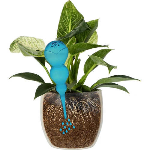 Trojitá zavlažovacia guľa (trojkomorová), priehľadná modrá, 600 ml - 3 ['zavlažovacie gule', ' dávkovač na zavlažovanie kvetov', ' na polievanie kvetov', ' zvlhčovače pre kvety', ' zavlažovanie kvetov', ' zavlažovanie rastlín', ' zavlažovače do kvetináčov', ' na polievanie kvetov', ' pre izbové kvety', ' zavlažovací systém', ' zavlažovacia guľa', ' dávkovač vody do kvetináčov', ' gule pre rastliny', ' dávkovač pre rastliny', ' polievanie rastlín', ' zavlažovacia guľa', ' trojité zavlažovacie gule', ' dekoratívne zavlažovače pre rastliny', ' praktické zavlažovacie gule', ' objemné zavlažovacie gule', ' transparentné priehľadné zavlažovacie gule', ' farebné gule na zavlažovanie rastlín', ' modré gule pre rastliny']