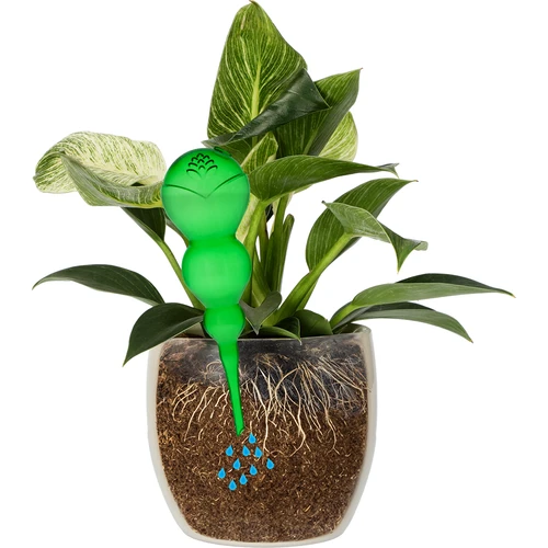 Trojitá zavlažovacia guľa (trojkomorová), priehľadná zelená, 600 ml - 3 ['zavlažovacie gule', ' dávkovač na zavlažovanie kvetov', ' na polievanie kvetov', ' zvlhčovače pre kvety', ' zavlažovanie kvetov', ' zavlažovanie rastlín', ' zavlažovače do kvetináčov', ' na polievanie kvetov', ' pre izbové kvety', ' zavlažovací systém', ' zavlažovacia guľa', ' dávkovač vody do kvetináčov', ' gule pre rastliny', ' dávkovač pre rastliny', ' polievanie rastlín', ' zavlažovacia guľa', ' trojité zavlažovacie gule', ' dekoratívne zavlažovače pre rastliny', ' praktické zavlažovacie gule', ' objemné zavlažovacie gule', ' transparentné priehľadné zavlažovacie gule', ' farebné gule na zavlažovanie rastlín', ' zelené gule pre rastliny']