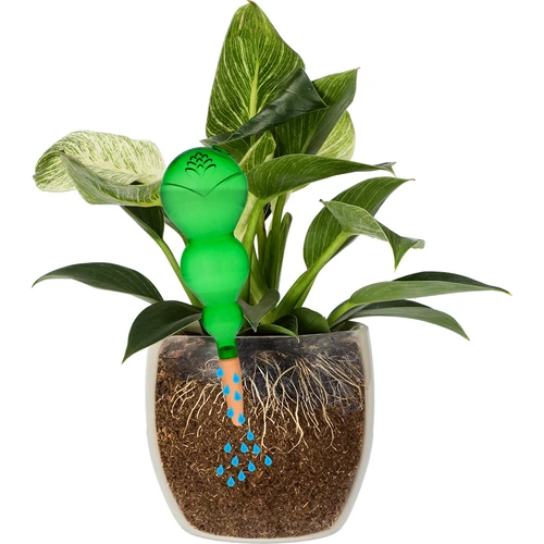 Trojitá zavlažovacia guľa (trojkomorová), priehľadná zelená s keramickou nožičkou, 600ml - 3 ['zavlažovacie gule', ' dávkovač na zavlažovanie kvetov', ' na polievanie kvetov', ' zvlhčovače pre kvety', ' zavlažovanie kvetov', ' zavlažovanie rastlín', ' zavlažovače do kvetináčov', ' na polievanie kvetov', ' pre izbové kvety', ' zavlažovacie gule s keramickou nožičkou', ' zavlažovač s keramickou nožičkou', ' zavlažovacia guľa', ' dávkovač vody do kvetináčov', ' gule pre rastliny', ' dávkovač pre rastliny', ' polievanie rastlín', ' zavlažovacia guľa', ' trojité zavlažovacie gule', ' dekoratívne gule pre rastliny', ' praktické zavlažovacie gule', ' objemné zavlažovacie gule', ' transparentné priehľadné zavlažovacie gule', ' farebné gule na zavlažovanie rastlín', ' priehľadná zelená zavlažovacia guľa', ' zavlažovacie gule s keramickou nožičkou']