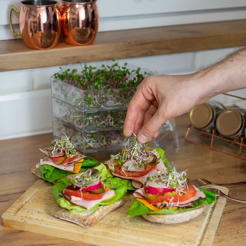 Viacúrovňová klíčkovnica Niezłe Ziółko so semenami reďkovky - 16 ['zdravé klíčky', ' domáca pestovanie klíčkov', ' klíčky produkt vegánsky', ' pestovanie klíčkov doma', ' klíčky reďkovky', ' pestovanie klíčkov', ' semená reďkovky', ' súprava klíčkovnica so semenami', ' klíčkovnica']
