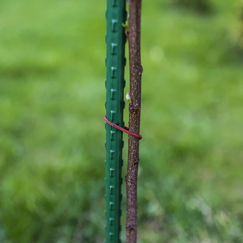 Záhradné tyčky Bioogród – oceľové povlečené, 1,2 m, fi 11 mm, 10 ks. - 5 ['záhradná tyčka', ' tyčka na rastliny', ' podpora na rastliny', ' záhradná podpora', ' kovové záhradné podpory', ' podpora na popínavé rastliny', ' podpory na popínavé kvety', ' kovové podpory na kvety', ' kovové povlečené tyčky', ' povlečená tyčka na rastliny', ' jednoduchá oceľová tyčka', ' záhradné príslušenstvo', ' ako sa starať o rastliny', ' odporúčané tyčky na rastliny', ' zelená tyčka', ' povlečené oceľové tyčky']