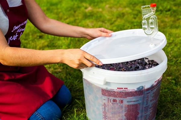 Ako vyrobiť víno krok za krokom?