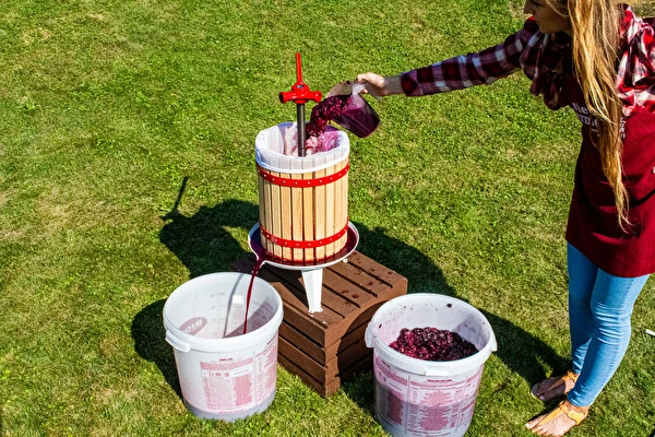 Ako vyrobiť víno krok za krokom?