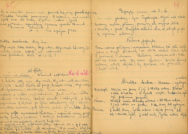 Diel 2: Kvasená paprika s dubovými listami