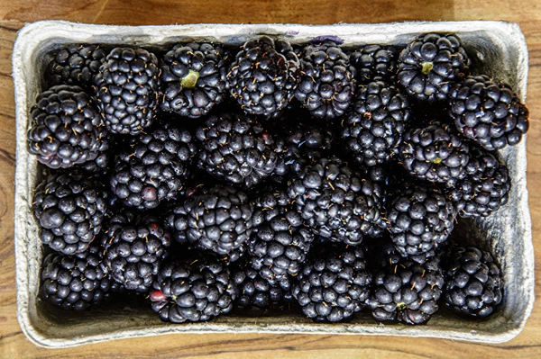 Domáce polosladké víno z černíc