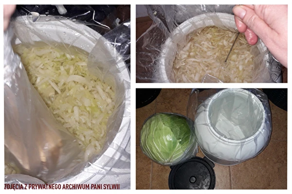 Kyslá kapusta podľa receptu pani Sylwii