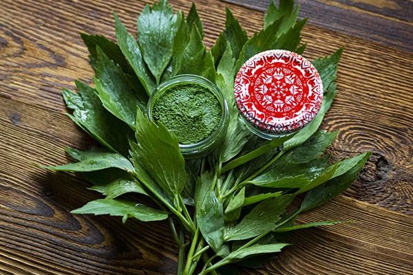 Ligurčeková pasta — domáce dochucovadlo MAGGI