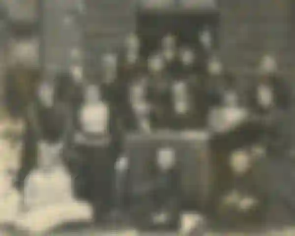 Diel 2: Kvasená paprika s dubovými listami