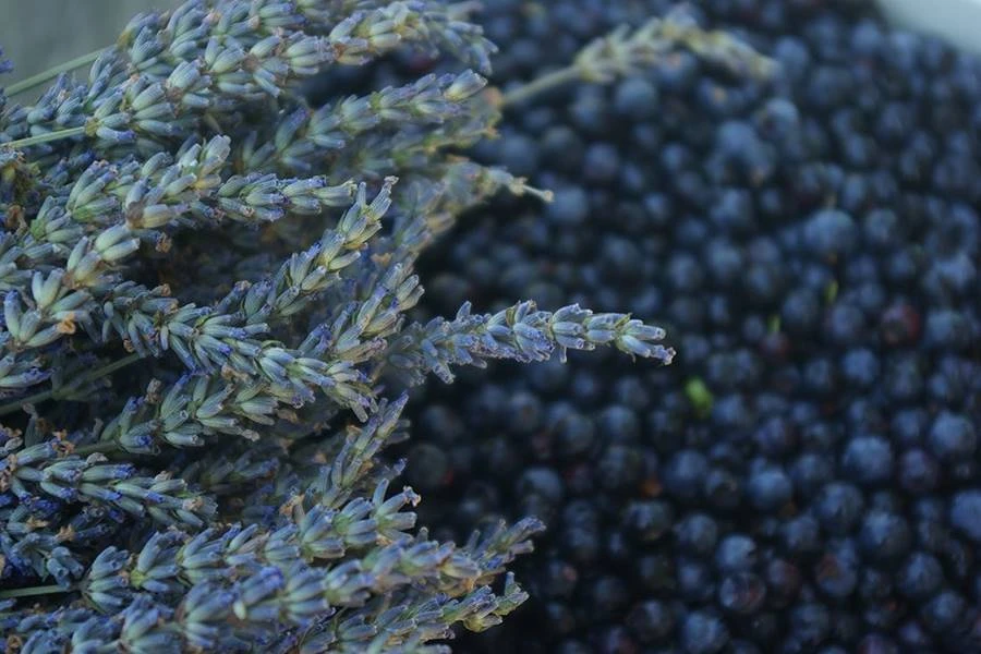 Browin Przepiśnik - Domáce levanduľovo - čučoriedkové víno