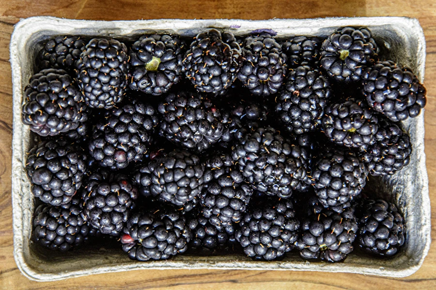 Browin Przepiśnik - Domáce polosladké víno z černíc