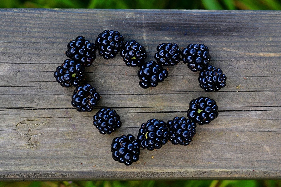 Browin Przepiśnik - Domáci ostružinový likér