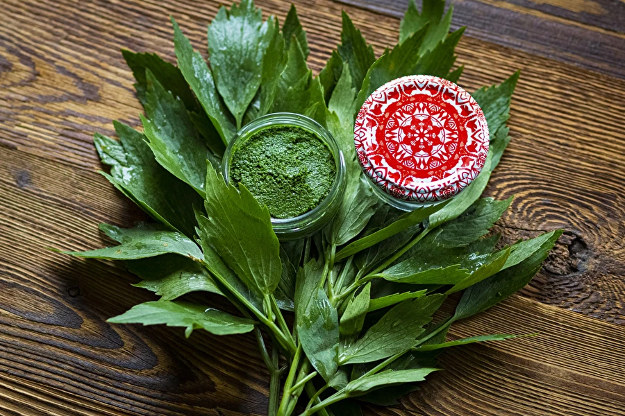 Ligurčeková pasta — domáce dochucovadlo MAGGI