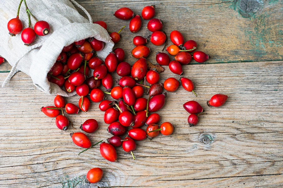 Browin Przepiśnik - Šípkové víno s medom