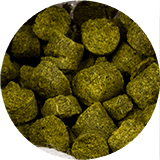 Pivovarníctvo